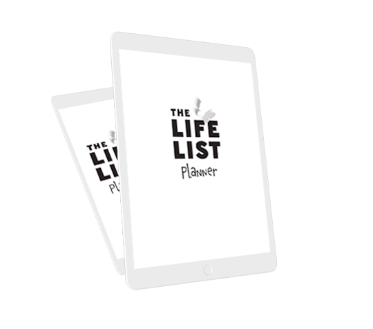 Time Management Expert