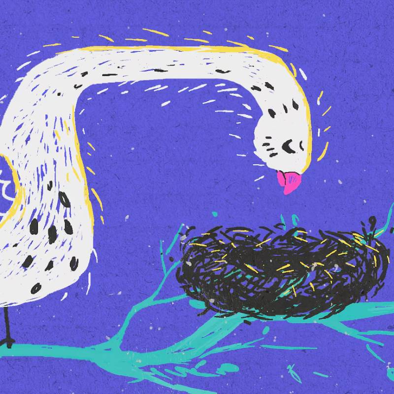 Pain and Joy: Empty Nesters